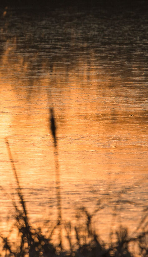 Sonnenaufgang E71R5294 03.2018