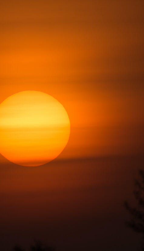 Sonnenaufgang Stangenhagen 796B5291 03.2018