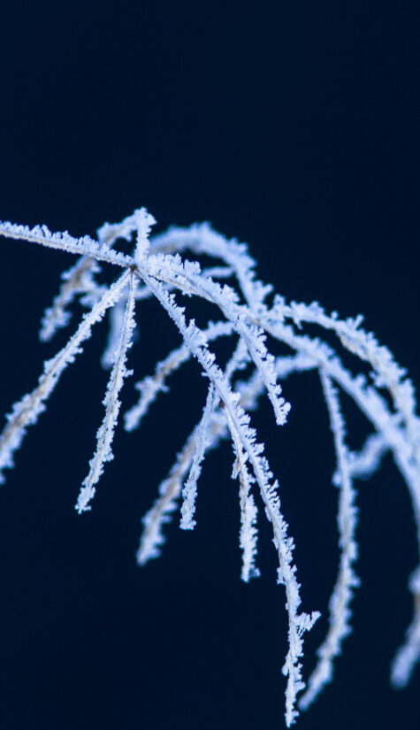 Winter GG7G1063 2013